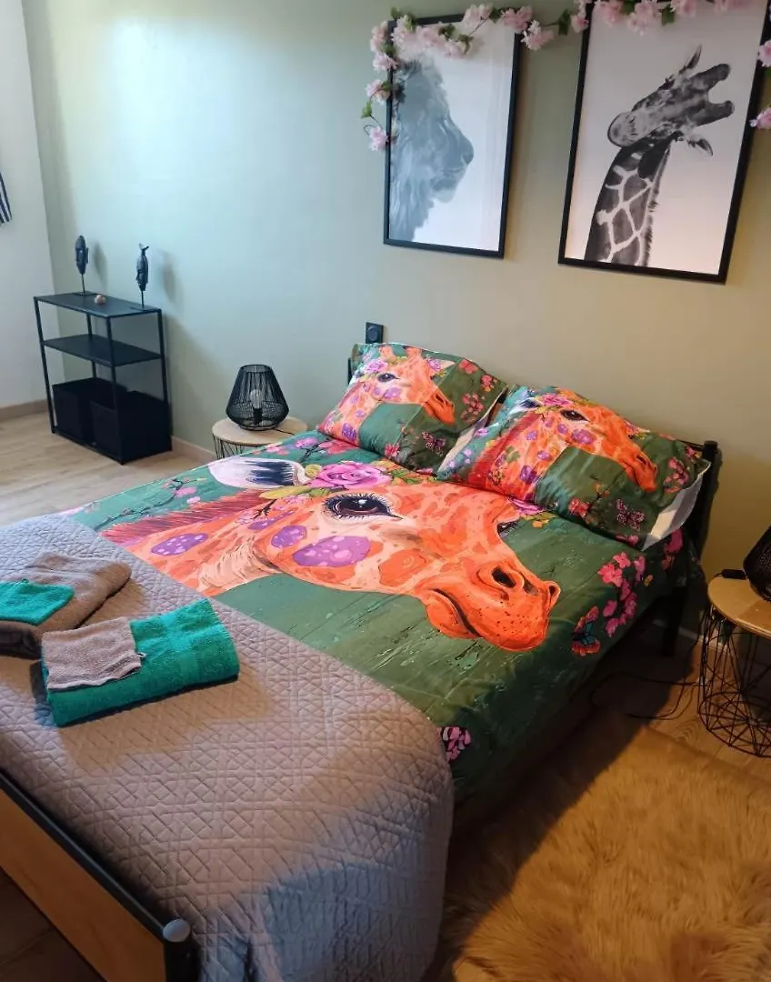Chambres D'Hotes La Maison De Monsieur Chaussette Anglès 0*,