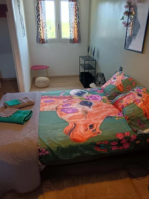 Chambres D'Hotes La Maison De Monsieur Chaussette Anglès 0*,